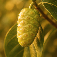 Noni
