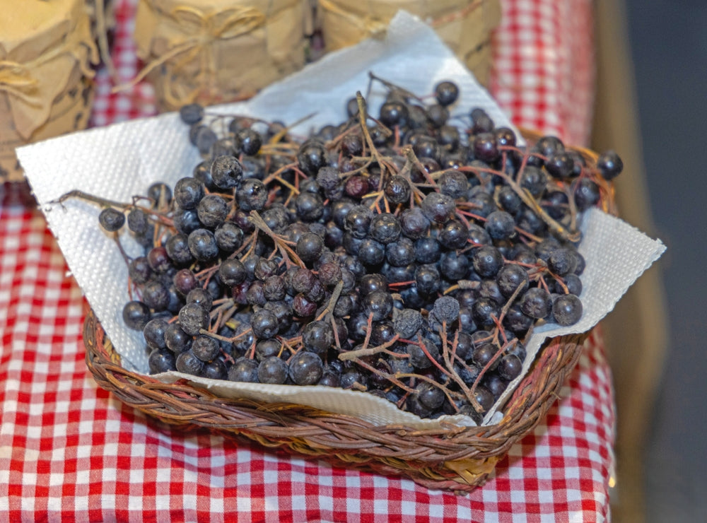 Wicker basket full of freshly picked black aronia berries outdoors, green leaves behind